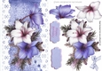 Pretty lilac and white Amaryllis on lace with bow A5