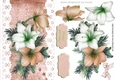 Pretty peach and white Amaryllis on lace with bow A5