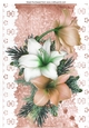 Pretty peach and white Amaryllis on lace with bow A4