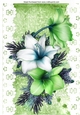 Pretty green and white Amaryllis on lace with bow A4