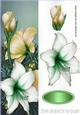 Pretty gold and white poinsettias tall DL
