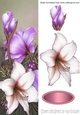 Pretty lilac and white poinsettias tall DL