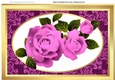 Pretty pink roses with white bow A4