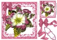 Pretty pink flower in ornate scroll frame with organza bow