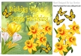 Crocuses & Daffodils with butterflies in the meadow