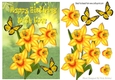 Golden yellow daffodils with yellow butterflies A5