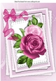 Pretty painted roses on lace with organza bow A4