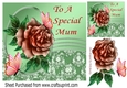 pretty peach rose with butterflies for a special mum