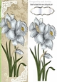 Pretty white Daffodils with ornate corners Tall DL