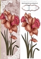 Pretty pinky Daffodils with ornate corners Tall DL