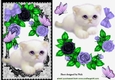 cute fluffy white kitten with lilac roses, & butterflies in black lace A5