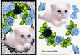 cute fluffy white kitten with blue roses, & butterflies in black lace A5
