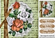 Pretty peach/white roses on script with lace & border bow 8x8