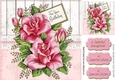 Pink roses for your Birthday 8x8