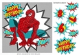 Super web hero in turq in funky silver frame 8x8