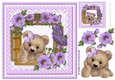 fuzzy bear in the window with lilac flowers on lace 8x8