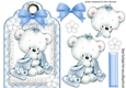 Little white teddy cuddling blanket on lace blue gingham tag