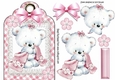 Little white teddy cuddling blanket on lace pink gingham  tag