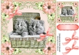 Cute Kittens in a basket in peach floral frame with bows 8x8