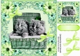 Cute Kittens in a basket in green floral frame with bows 8x8