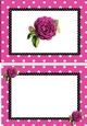 pretty pink polkadot/stripe shoes with pink roses A5 Insert