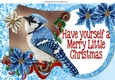 pretty blue bird on a scroll with holly and poinsettias A4