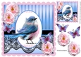 pretty blue bird with pink roses and butterflies with black lace 8x8