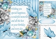 pretty sky blue & silver roses  & butterflies with verse 8x8