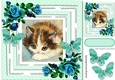 pretty kitten in polkadot frame with turq roses 8x8
