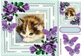 pretty kitten in polkadot frame with purple roses 8x8