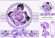 pretty purple rose with lace and gingham 8x8