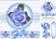pretty blue rose with lace and gingham 8x8