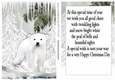 Snowy white polar bear in the snow with fir tree and insert A5
