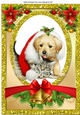 Cute puppy with kitten in santa hat in glitter frame A4