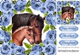 pretty horses framed with blue roses 8x8