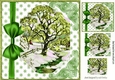 pretty winter scene bracket frame of trees with green blow 8x8 & pyramids