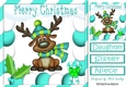 Cute reindeer in turq festive frame 8x8
