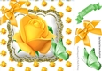 yellow rose 8x8