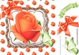 peach rose 8x8