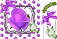purple rose 8x8