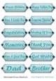 12 wood effect ,mens with turq sentiment tags