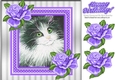 Lovely painted black and white kitten with purple frame and roses 8x8