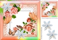 pretty peach roses on lace with butterflies and rainbow frame 8x8