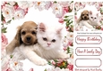 cute puppy and kitten with pink & white peonies 8x8
