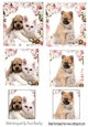 two cute little puppies and kittens small cards with pyramids
