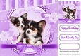 Cute pair of Chihuahua puppies with purple bow 8x8