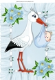 cute bundle of joy a baby boy with stork A4