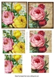 two pretty coloured roses (set one) in pyramids for the smaller cards