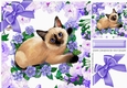 siamese kitten with purple flowers and bow 8x8