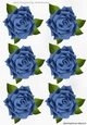 Six lovely blue roses